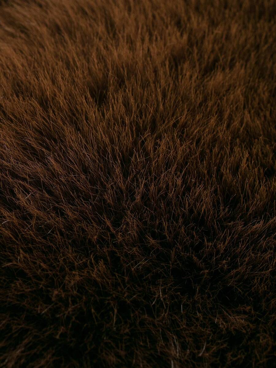 Faux Fur Collar Jacket – Women's Winter Coat – Date Brown Casual Outerwear