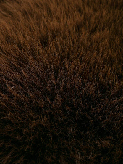 Faux Fur Collar Jacket – Women's Winter Coat – Date Brown Casual Outerwear