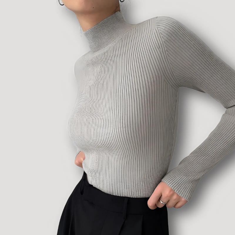 Ribbed Slim Fit Women Knit Sweater Turtleneck