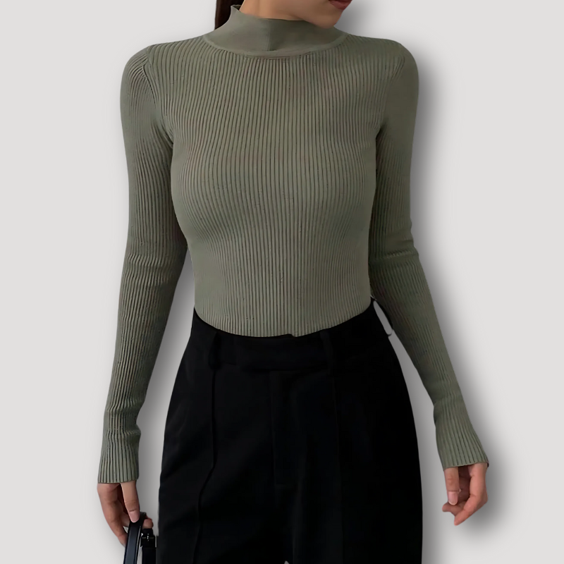 Ribbed Slim Fit Women Knit Sweater Turtleneck