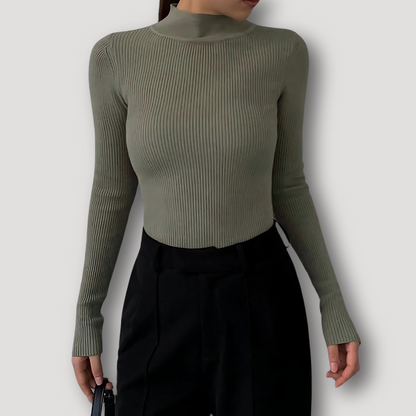 Ribbed Slim Fit Women Knit Sweater Turtleneck