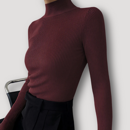 Ribbed Slim Fit Women Knit Sweater Turtleneck