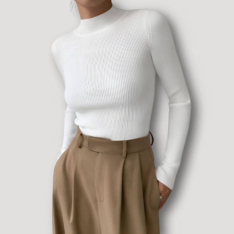 Ribbed Slim Fit Women Knit Sweater Turtleneck