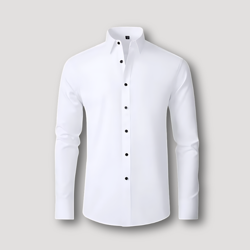 Wrinkle-Free Button Up Long Sleeve Stretchy Shirt Smart Casual Clothes