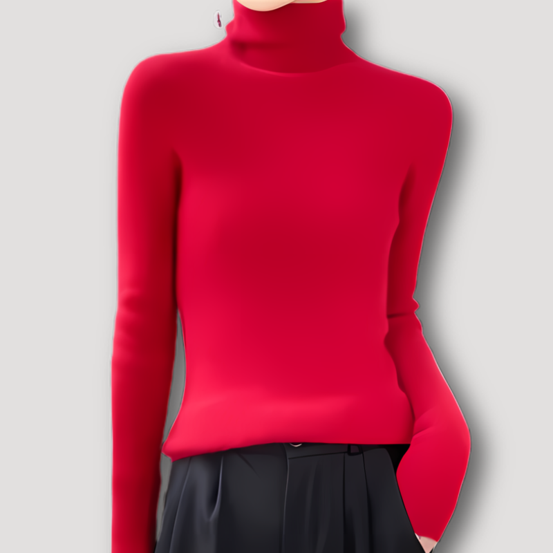 Rib Knitted Fleece Turtleneck Sweaters Long Sleeve Knitwear