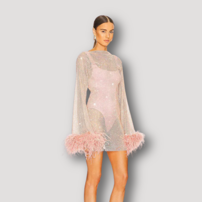 See Through Feathered Cuffs Sparkling Mini Party Dress in Australia