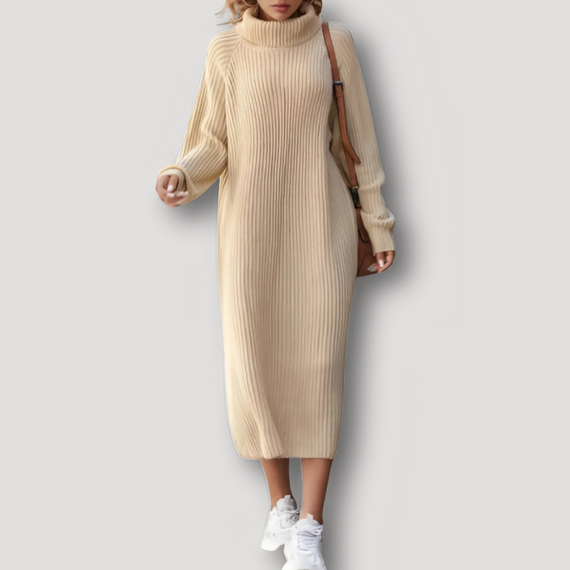 Turtleneck Ribbed Knit Sweater Dress Women