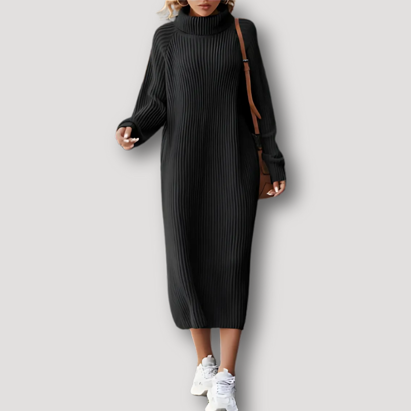 Turtleneck Ribbed Knit Sweater Dress Women