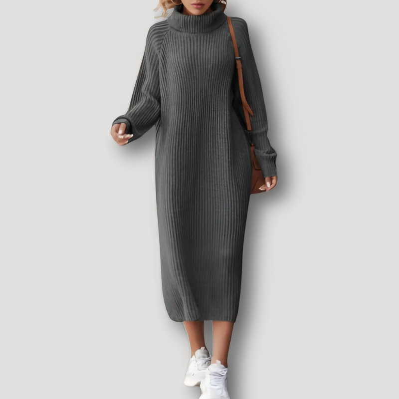 Turtleneck Ribbed Knit Sweater Dress Women