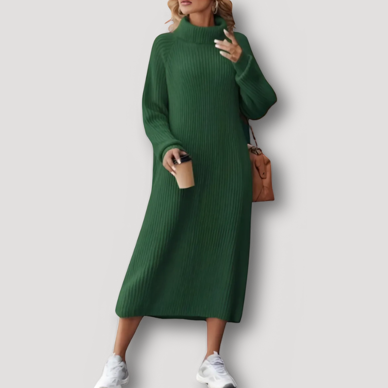 Turtleneck Ribbed Knit Sweater Dress Women