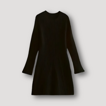 Slim Fitted Flared Long Sleeve Ribbed Knit Sweater Dress