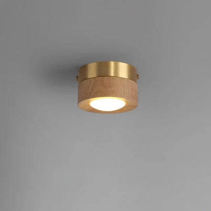 Wood Walnut Style Ceiling Lamp - Enhance Space - Modern Lighting