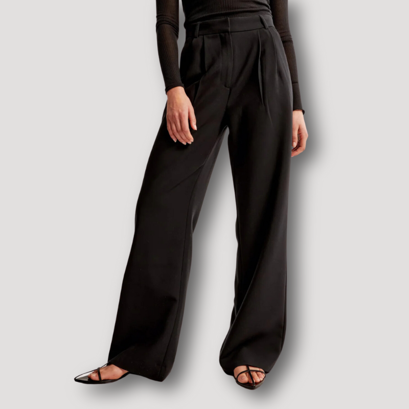 Solid Color Wide Led Trousers High-Rise Pleated Pants for Women