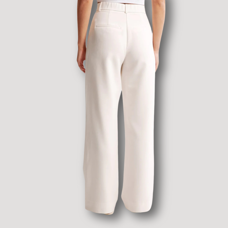 Solid Color Wide Led Trousers High-Rise Pleated Pants for Women